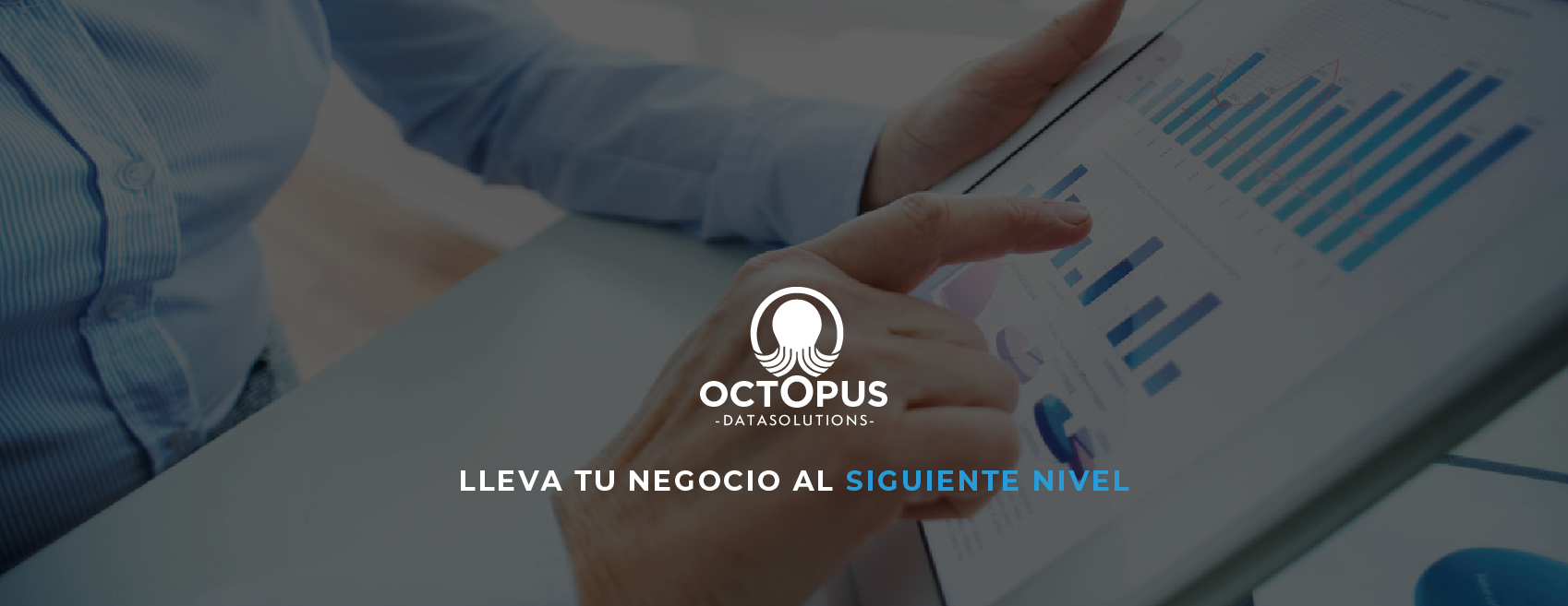 Octopus Data Solutions