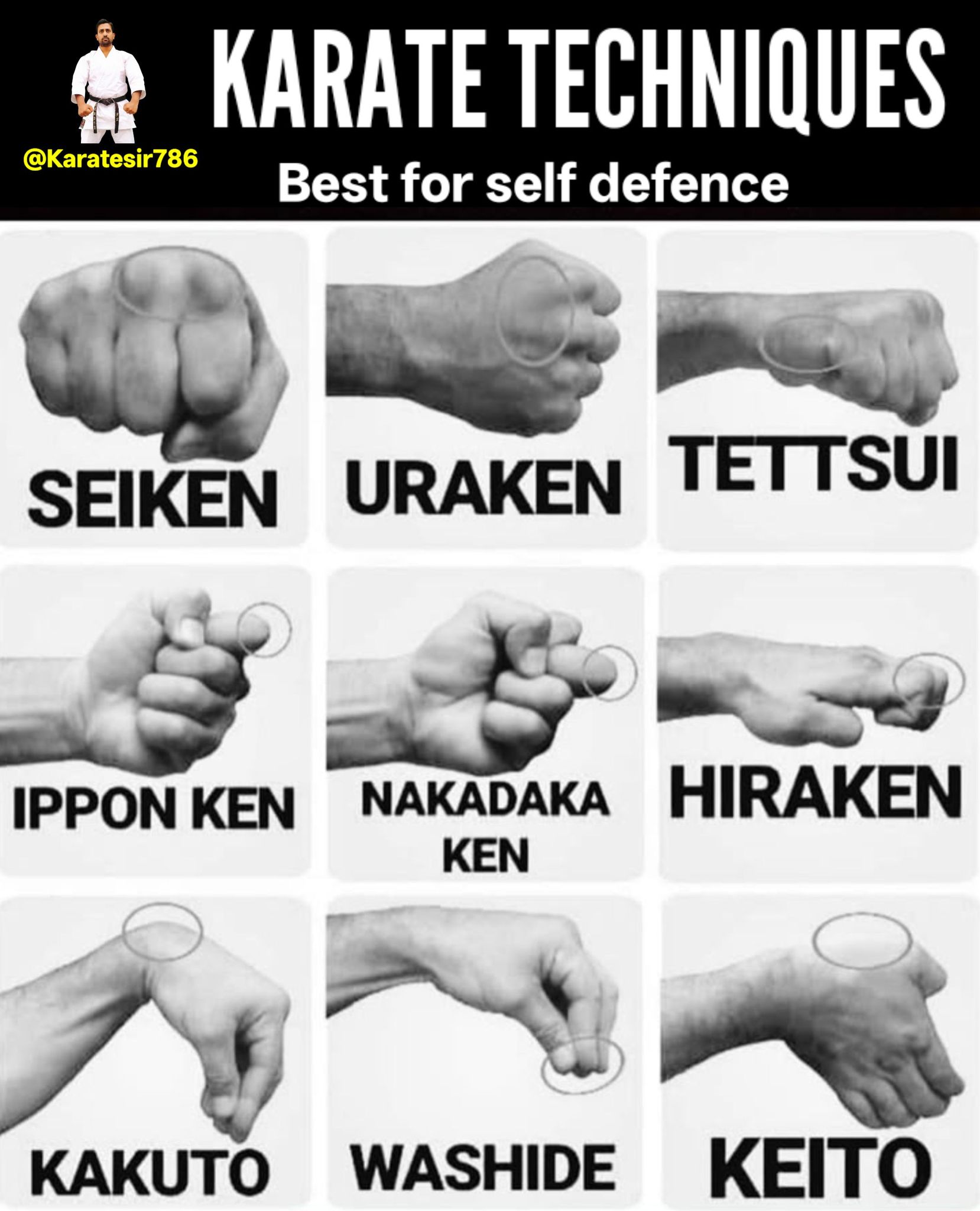 KARATE - The image displays nine different hand formations used in ...