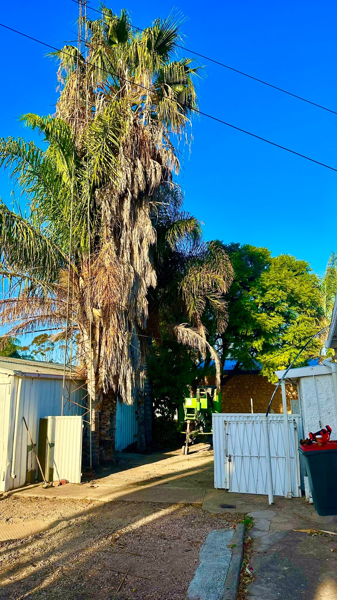 T&J Tree Professionals Pty Ltd | Balaklava SA