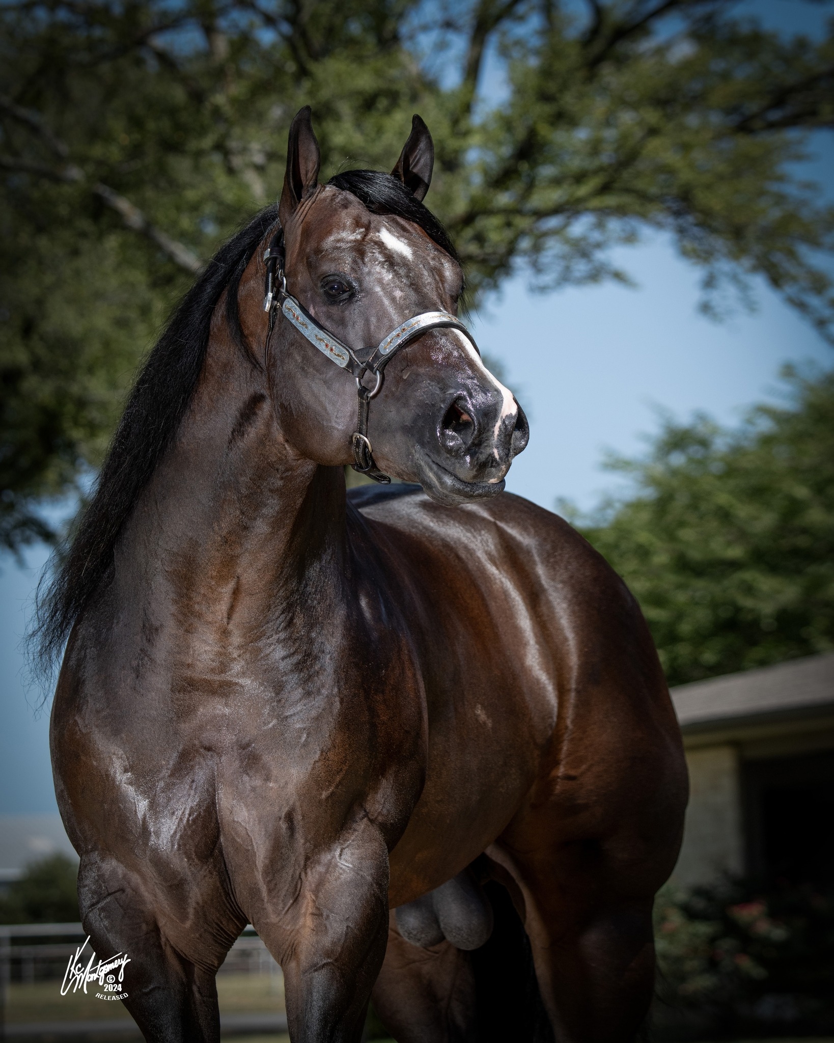 EC Video of the Day - Living His Best Life Meet Rowdy, a 26-year-old ...