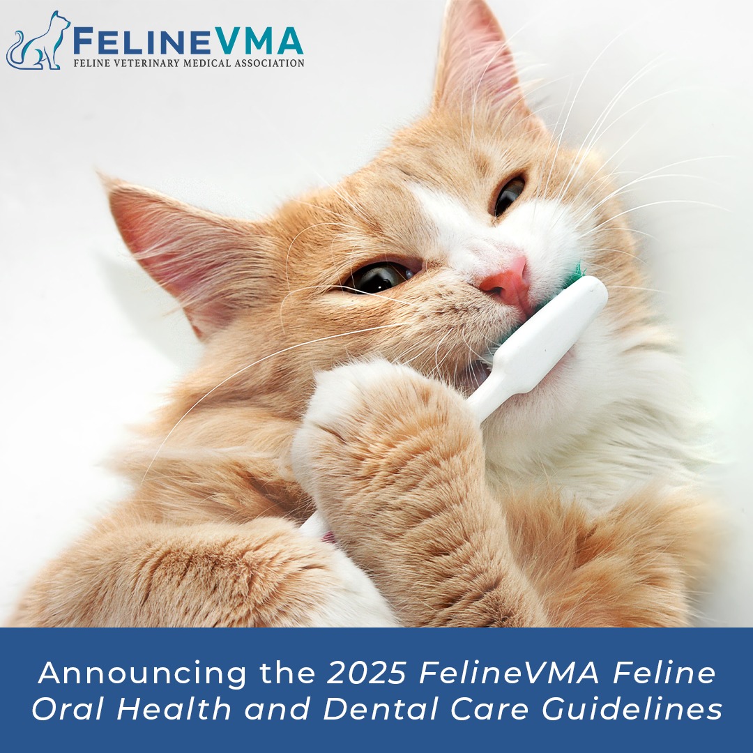 Snapshot of Feline Leukemia Oral Hygiene