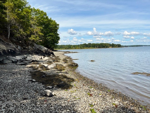 The Record - Nice views of Great Bay from the shoreline at Adams Point ...