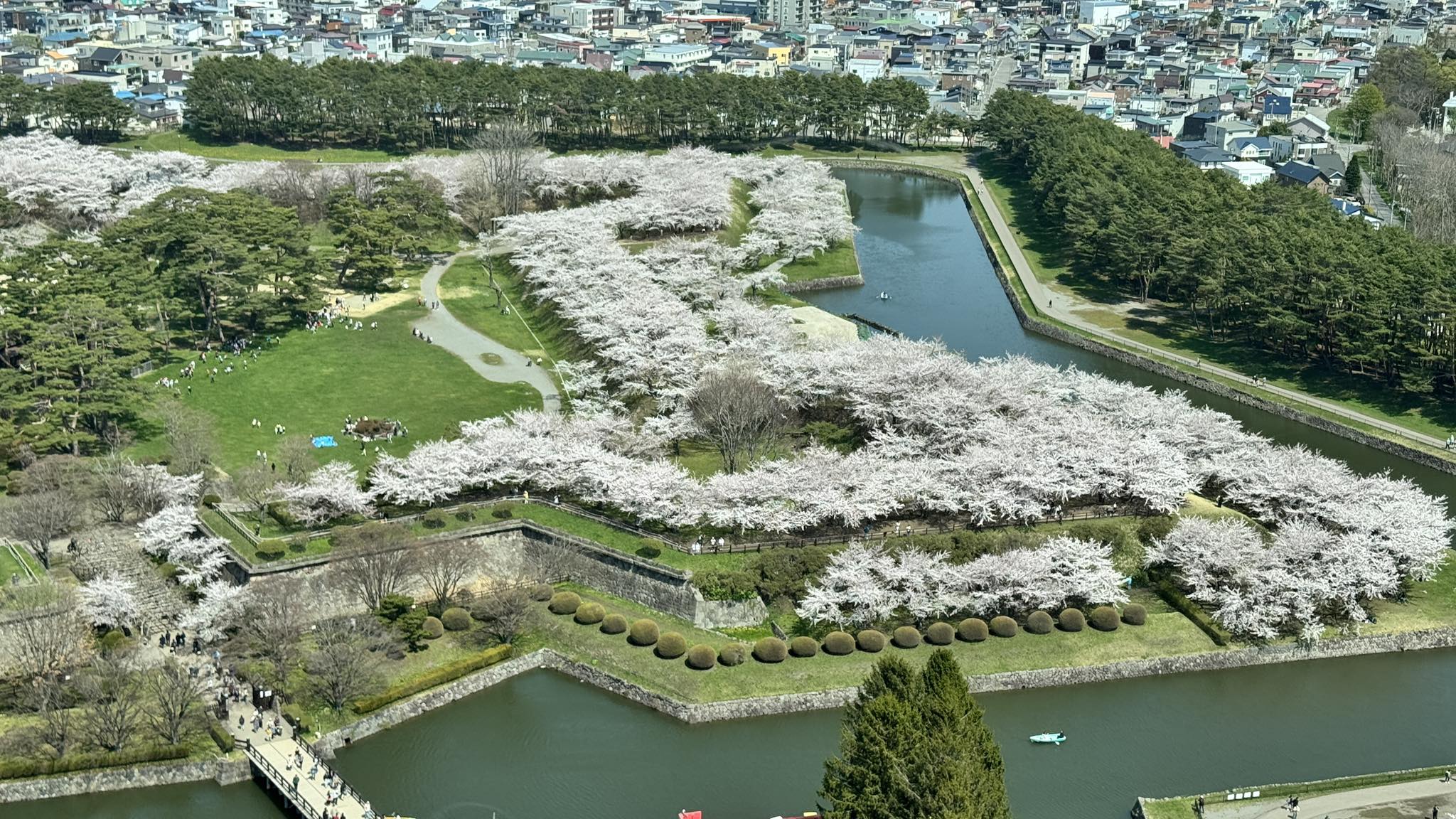 活動歴および当時の関連ビジュアル記録