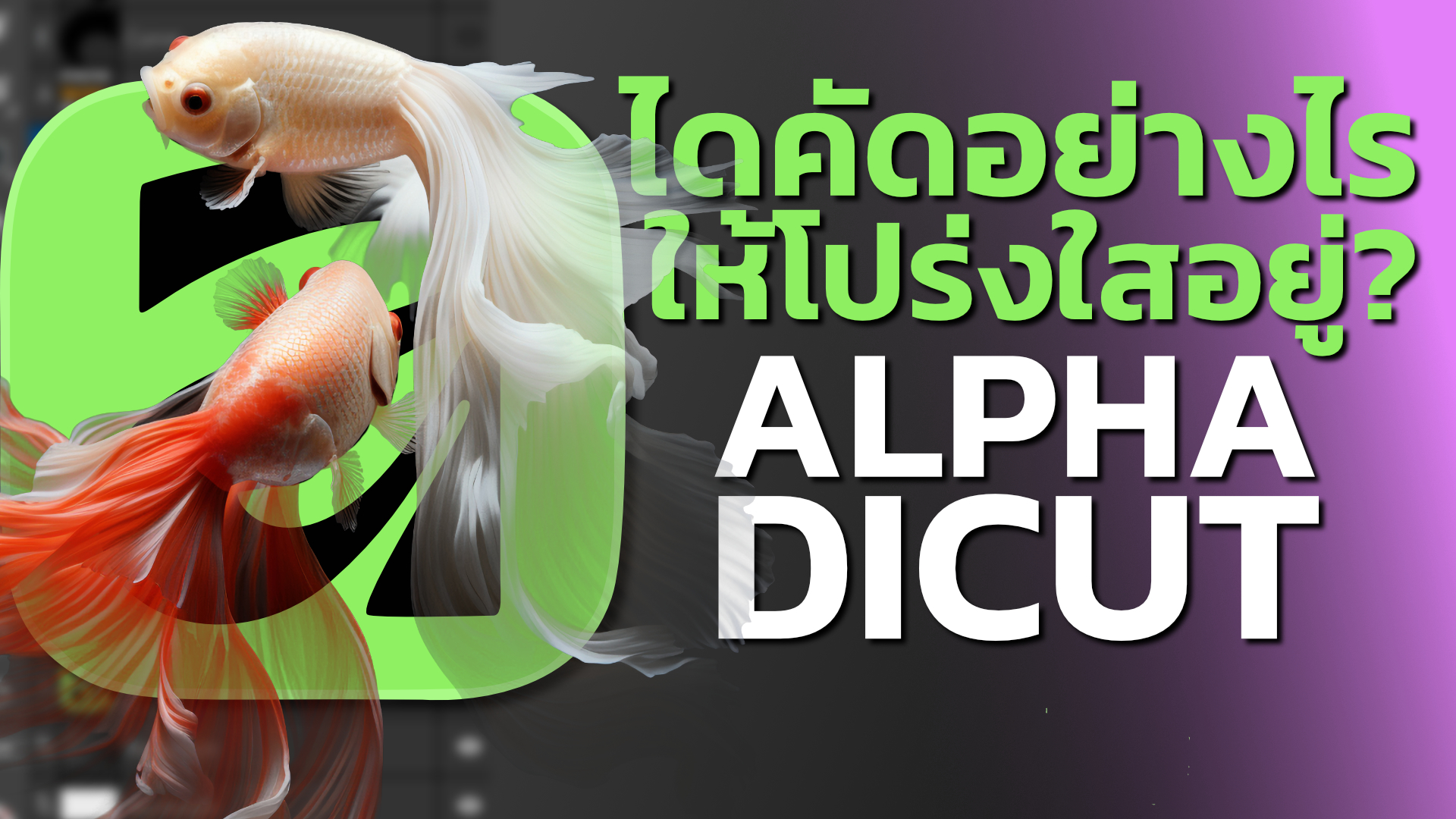 เจไดใจดี สอน Vectors - อัพโหลดภาพเวกเตอร์ใน Shutterstock เดี๋ยวนี้มัน ...