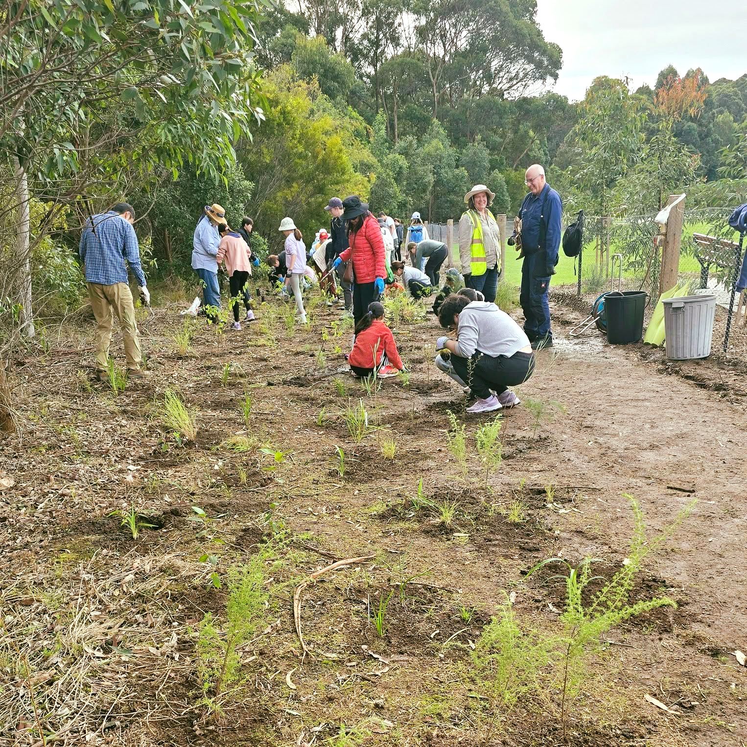 Hornsby Shire Council - WASTE MATTERS | Spring is a great time to ...