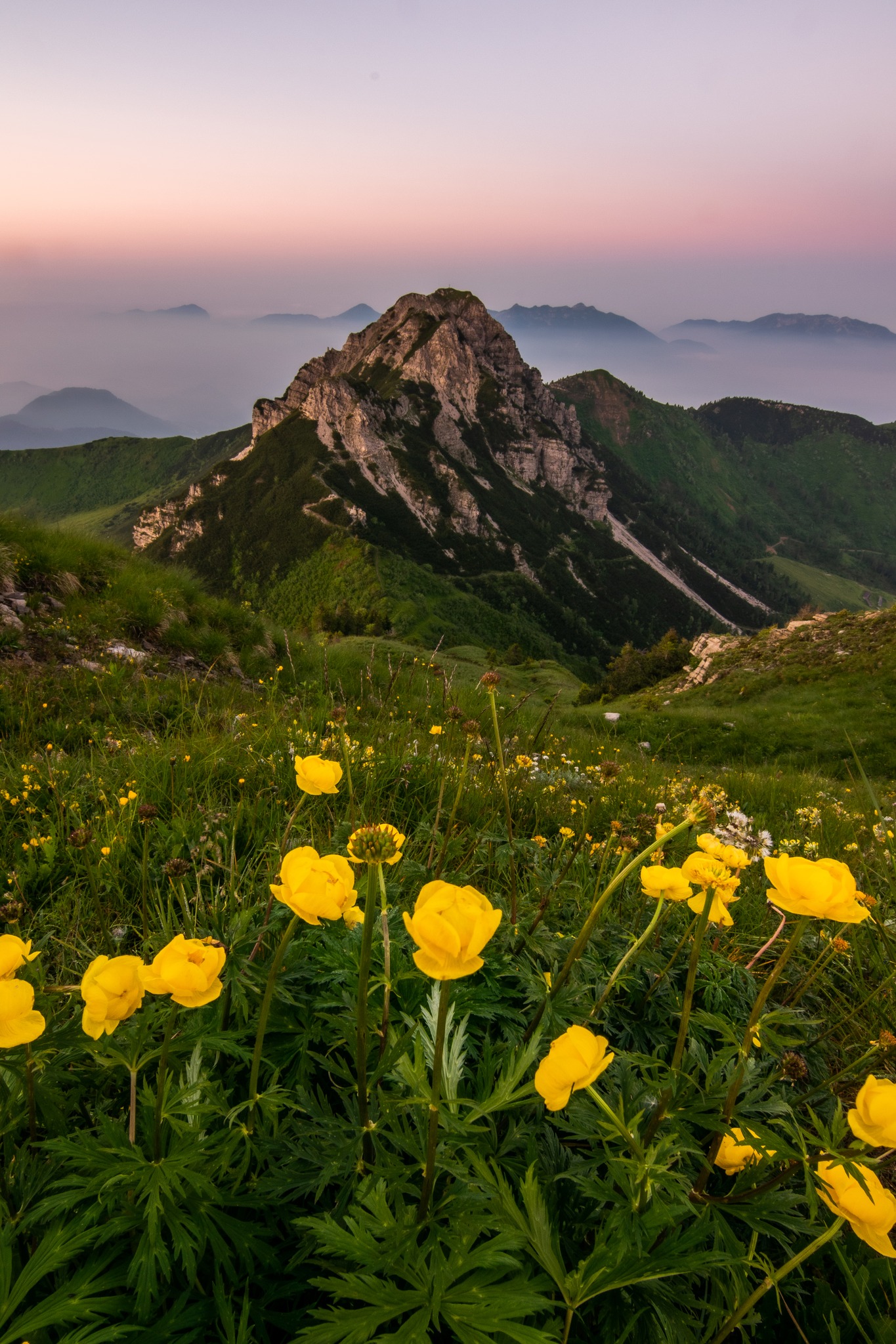Visit Zoncolan - 🌿 Maggio in Carnia: un mese di emozioni!... | Facebook