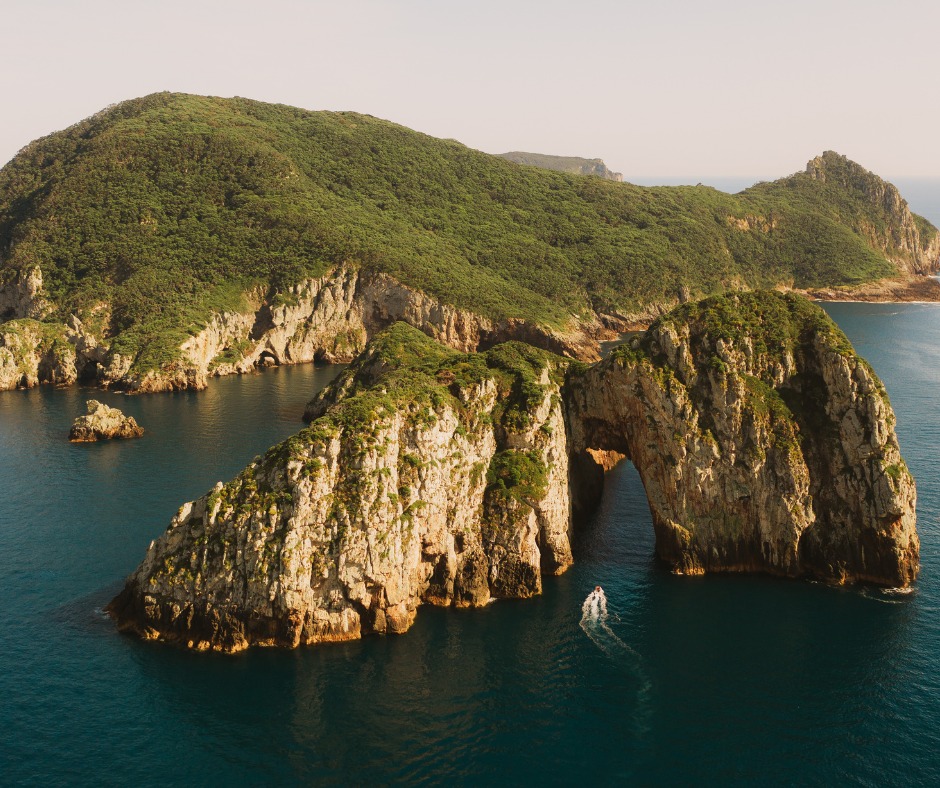 Freedom... - Freedom Destinations - The New Zealand Experts