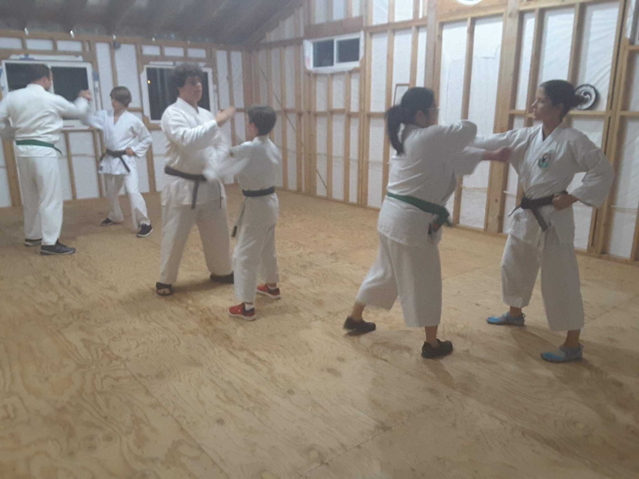 Knight's Isshin-Ryu Karate & Kobudo, Self - Defense for Life added a ...