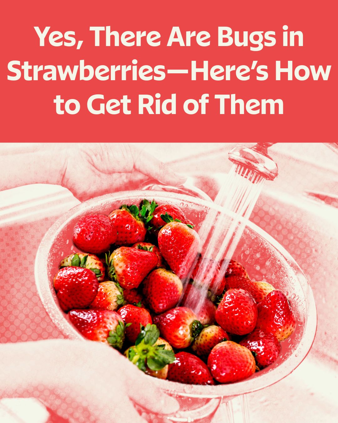 Allrecipes - The experts at Driscoll's settle this debate. 🍓 Click the ...