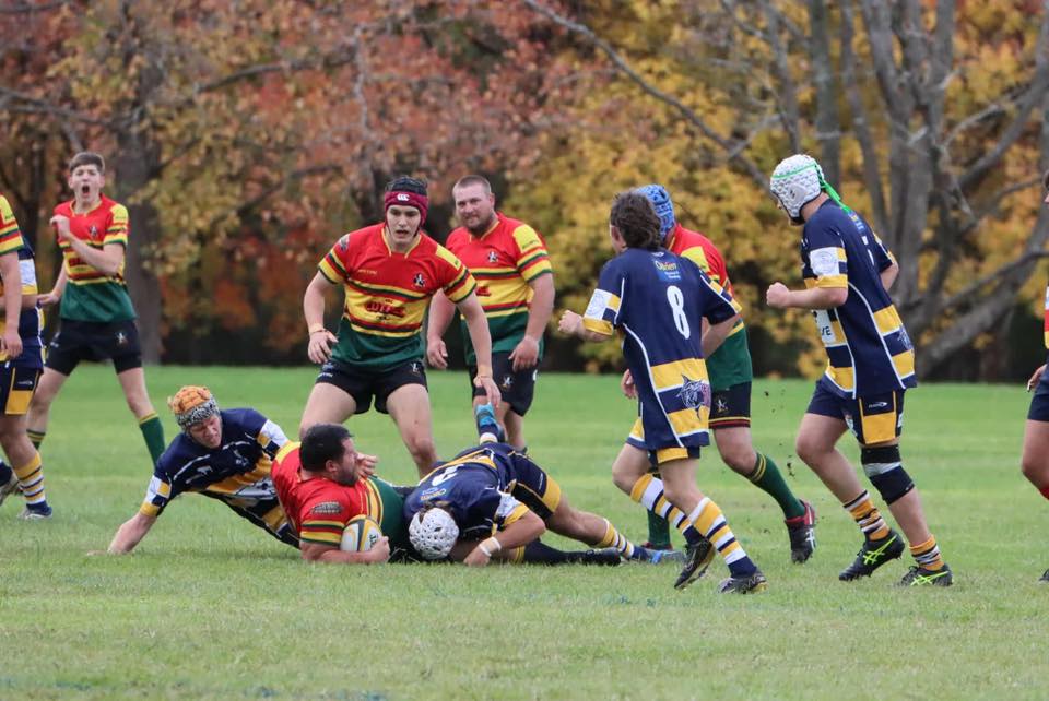 Dorrigo Rangers Rugby Club | Dorrigo NSW