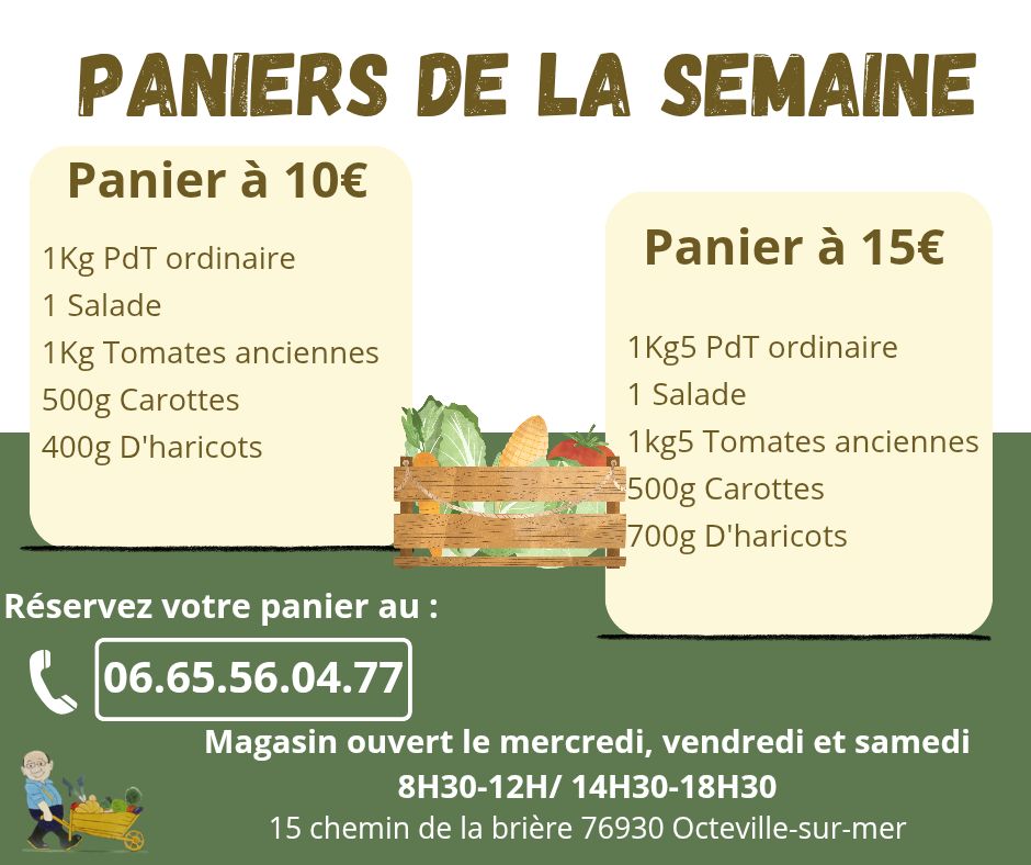 GRE 40045 - Lot De 10 Filtres Jetables Avec Velcro Pour Panier De Skimmer - Diamètre 24 Cm - Entretien Piscine Facile