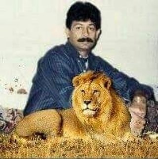 Mian Shahid Rauf
