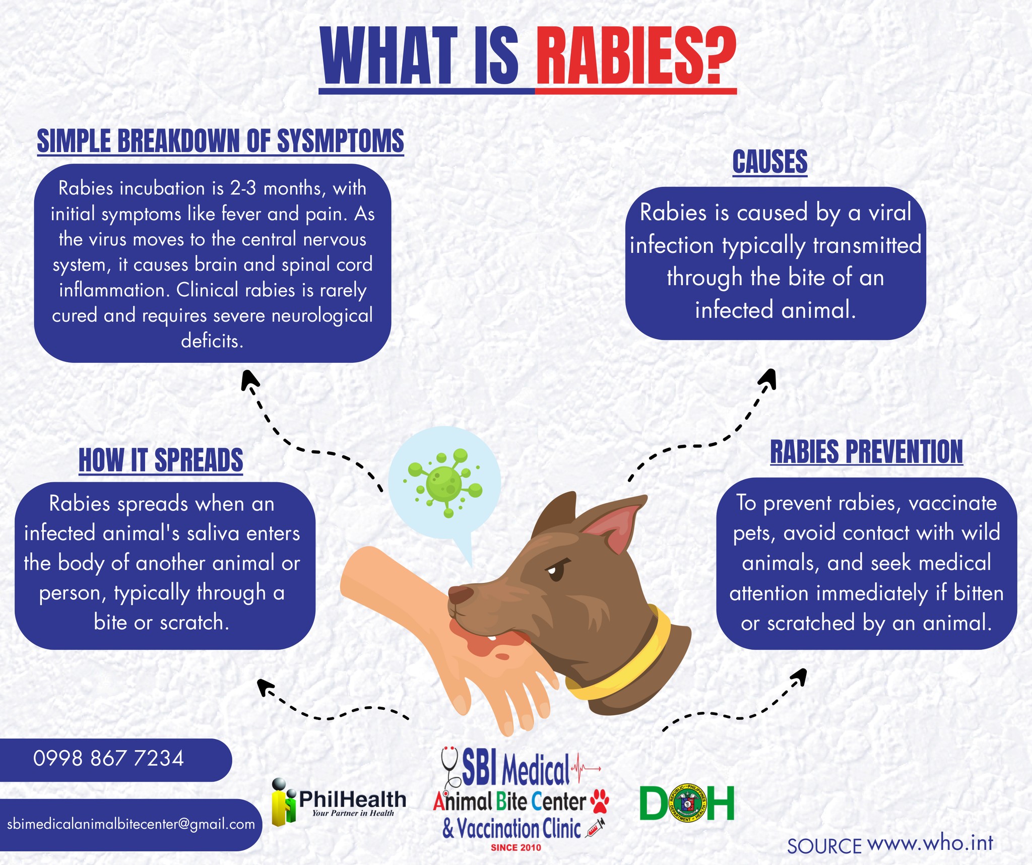 SBI - What is Rabies? A quick breakdown of its symptoms, causes, and ...