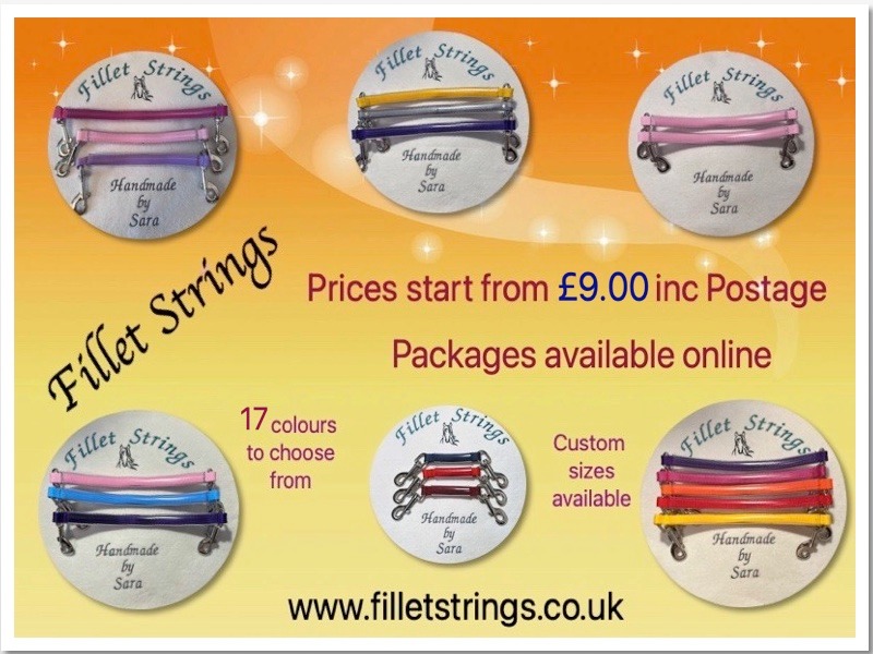 Fillet Strings | London
