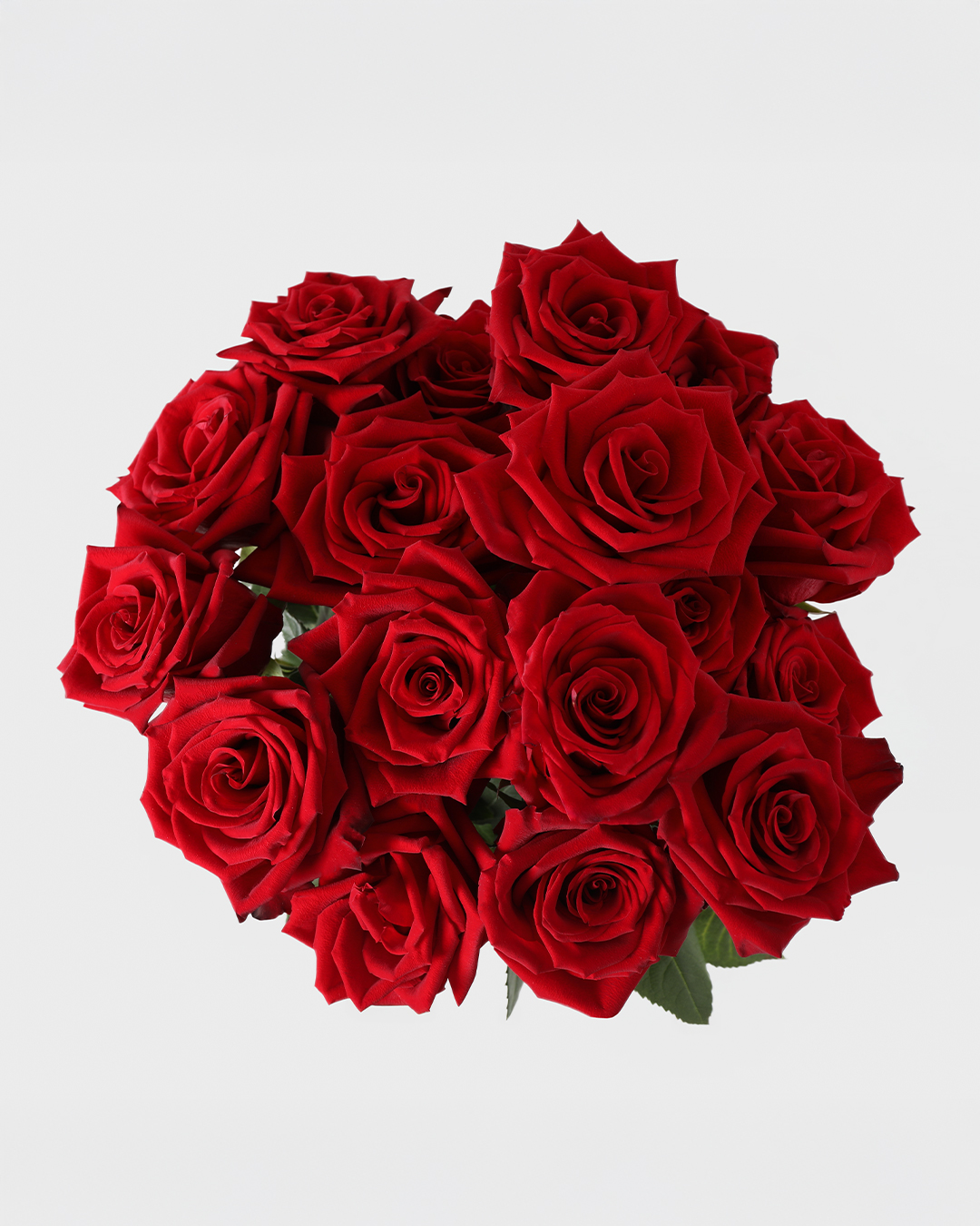 Rio Roses - Rio Roses added a new photo.