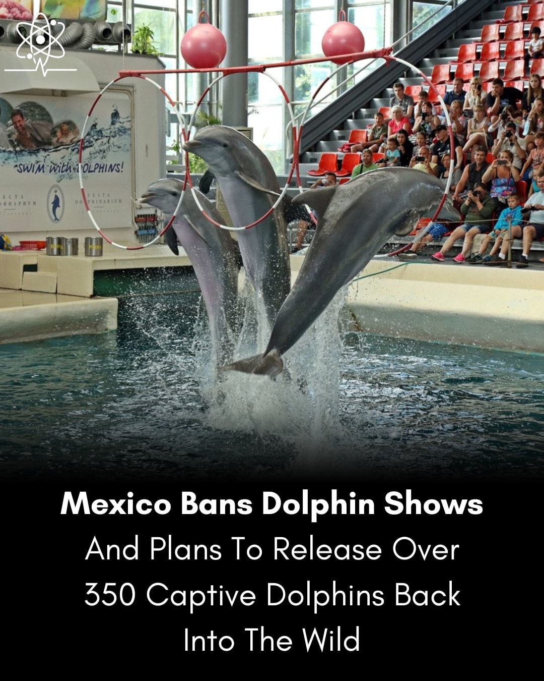 Science Pulse - Mexico officially passed legislation to... | Facebook