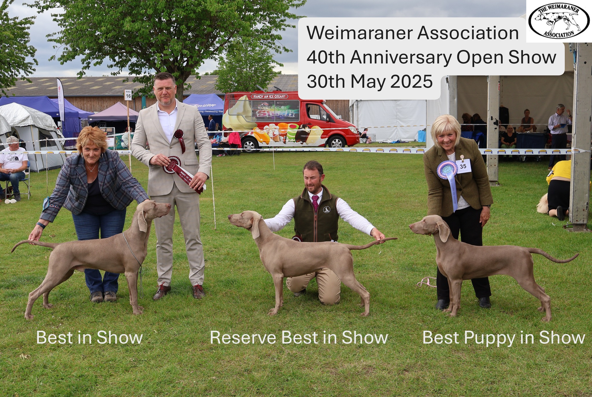 The Weimaraner Association... - The Weimaraner Association