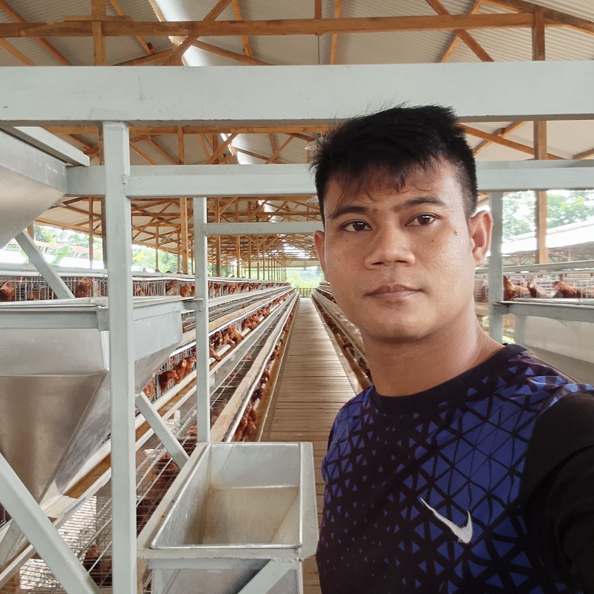 Chicken feed hopper/ poultry feed hopper... #chicken #eggs #video #fyp ...