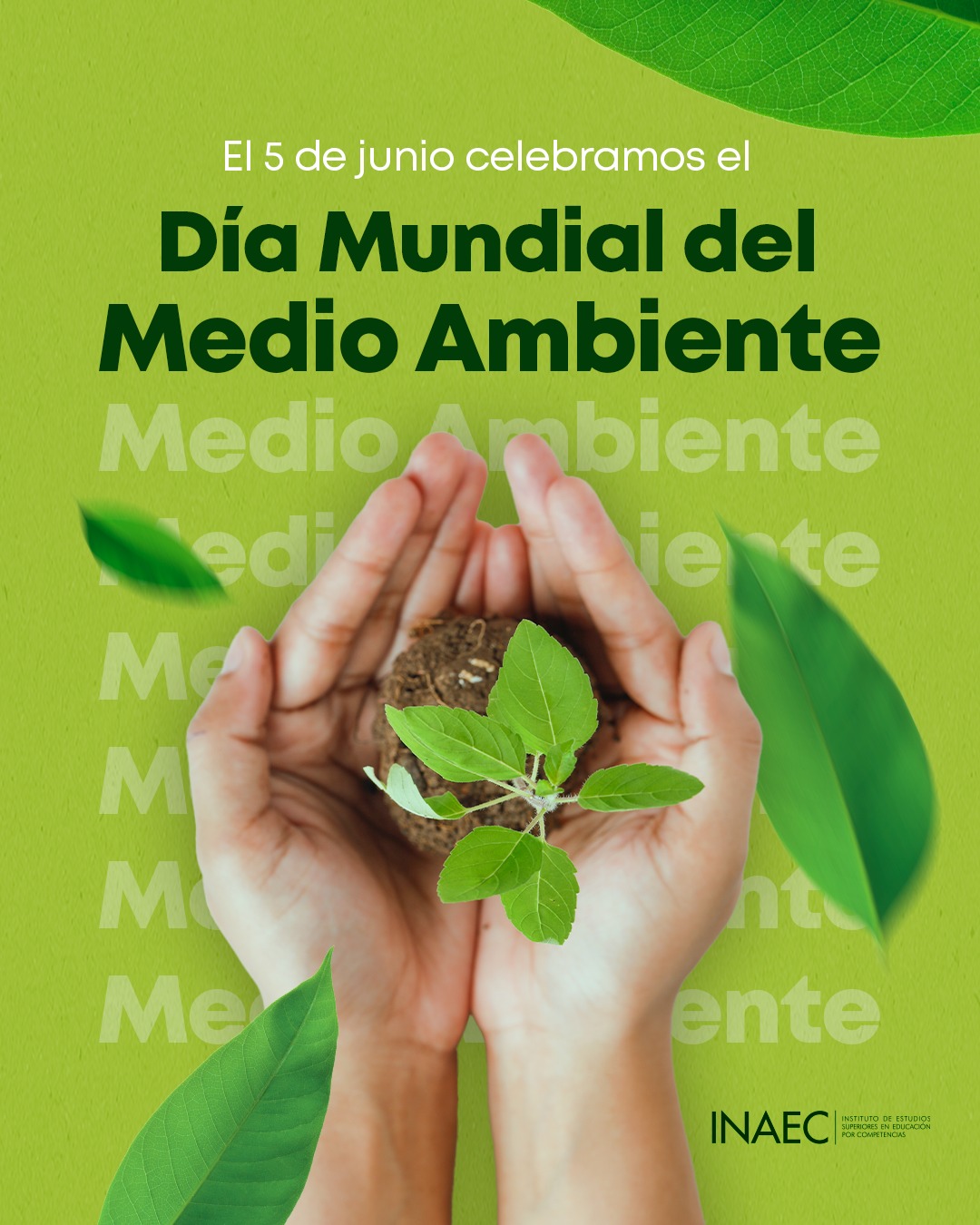 INAEC - El 5 de junio celebramos el Día Mundial del Medio Ambiente 🌱 ...