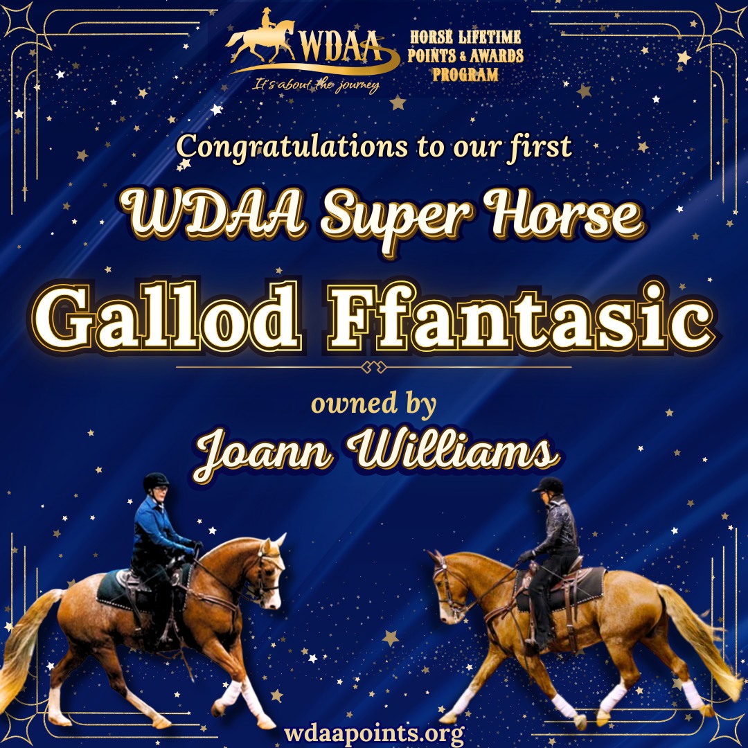 🎉... - Western Dressage Association of America WDAA | Facebook