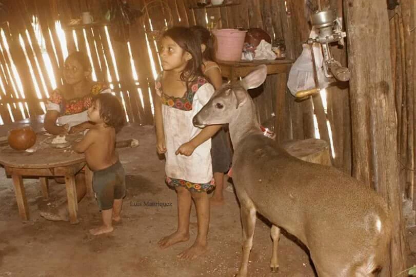 Edificios - Apellidos Mayas con su Significado en Español. Aban ...