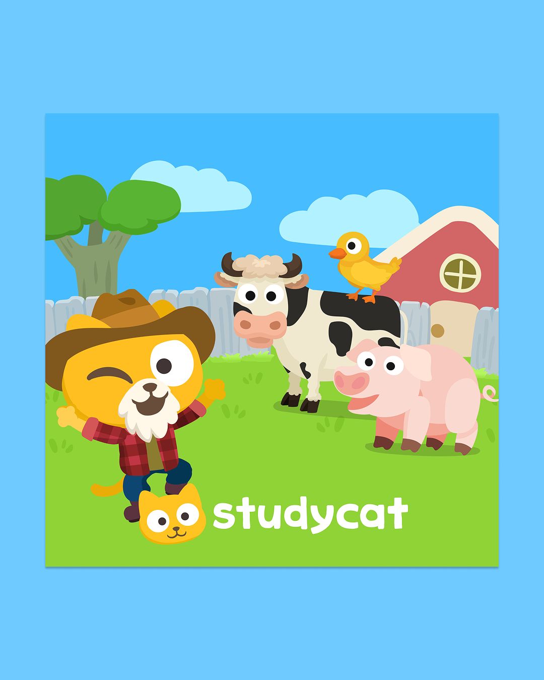 Studycat