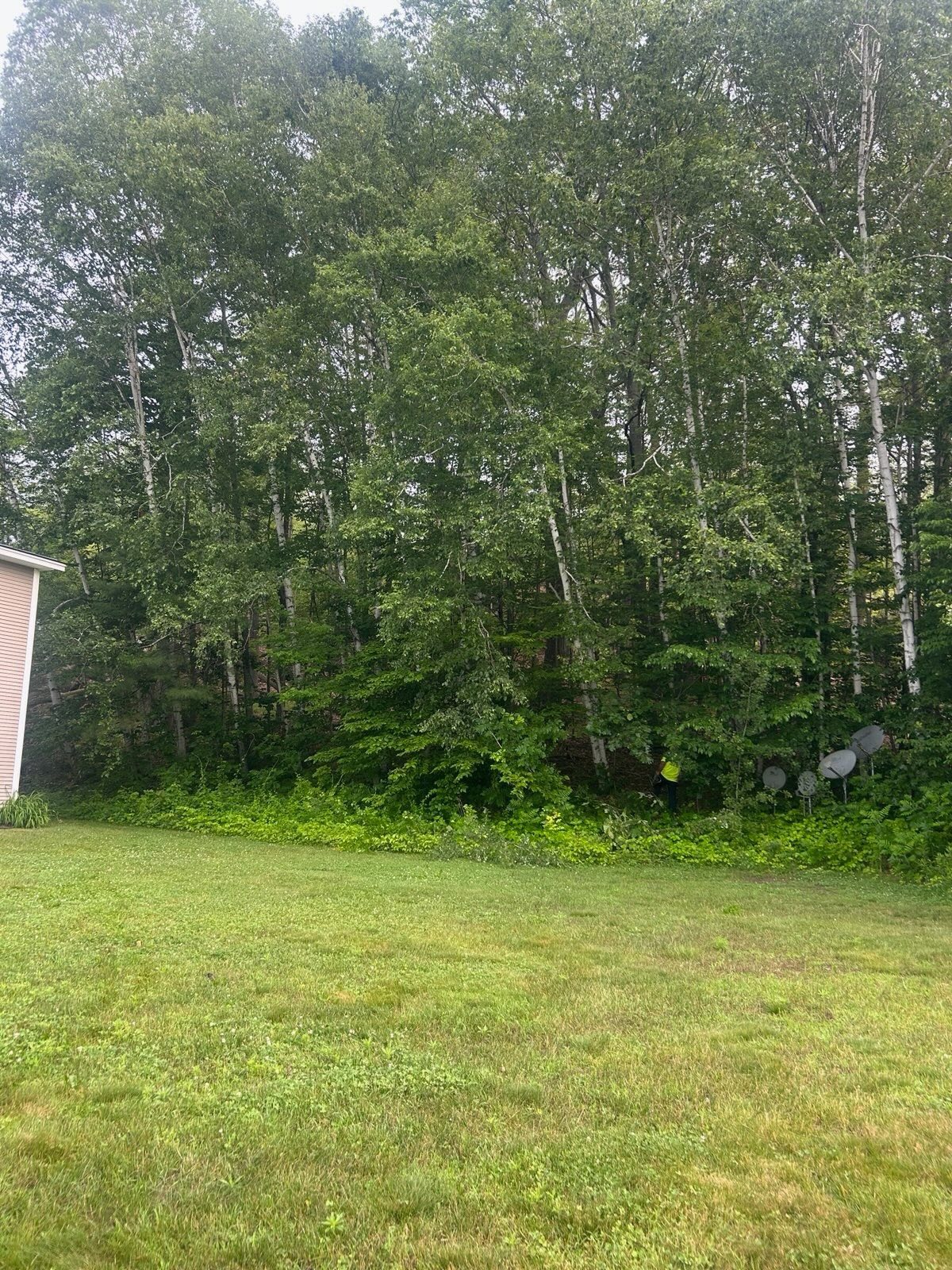 The ‘before’ tells a... - Thomson Tree Service & Excavation | Facebook