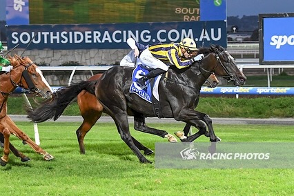 Jason Warren Racing | Mornington VIC