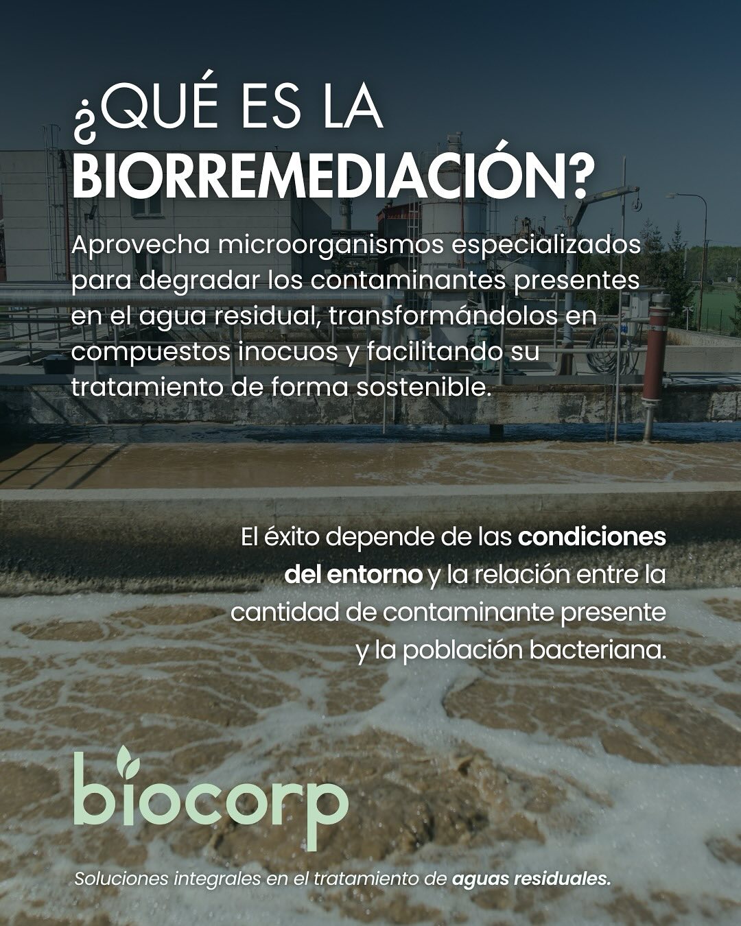 Biocorp México - 🧪 Impulsar a los microorganismos es clave... | Facebook