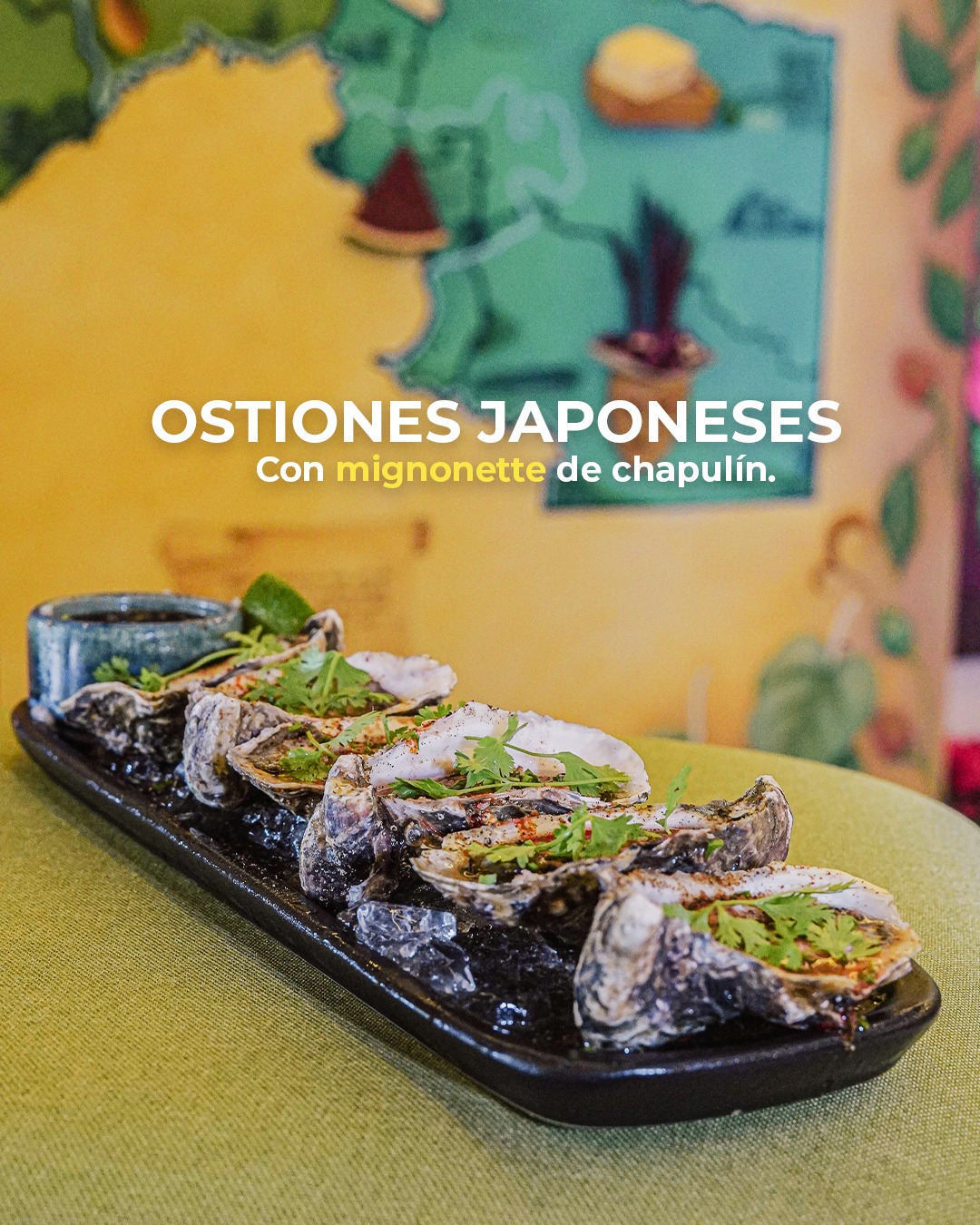 La Cevichería Tabasco - Los OSTIONES JAPONESES 🦪 de La Cevi son de ...
