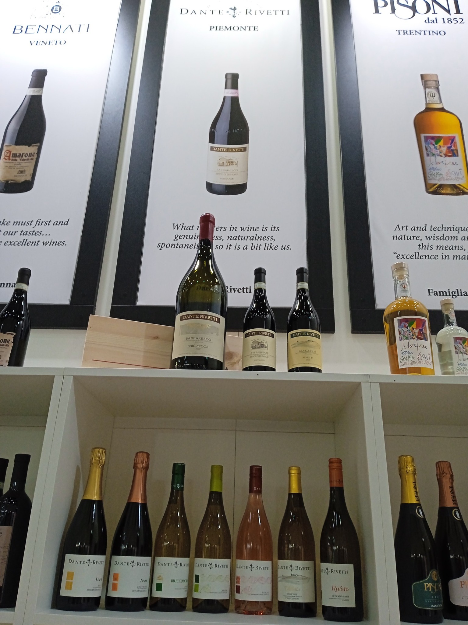 DANTE RIVETTI Azienda Agricola | Neive