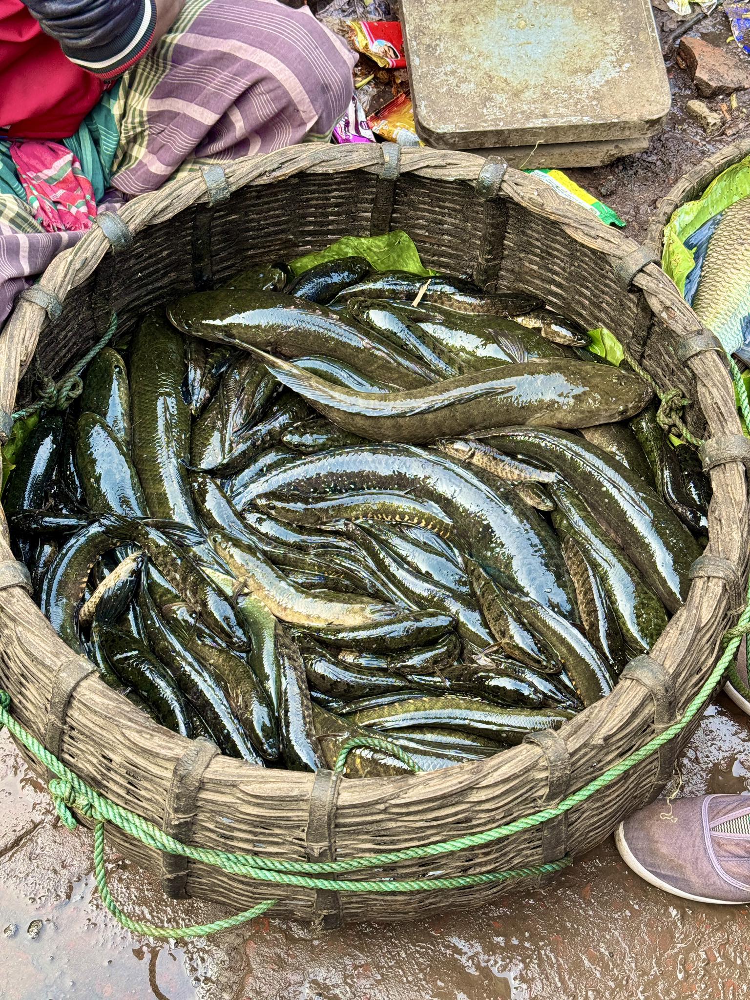 Authentic Native Snakehead Fish #fblifestyle