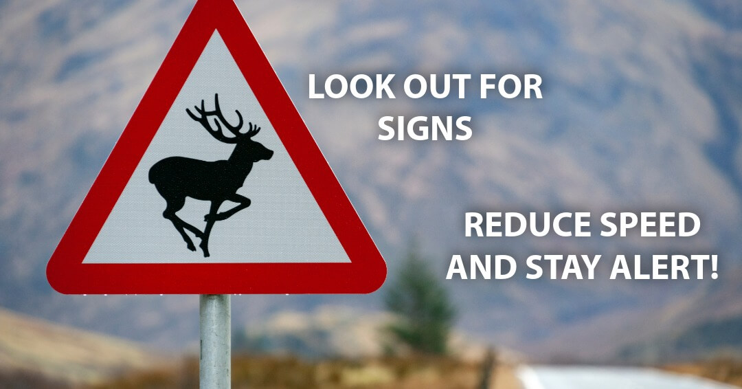 Look for the Signs... - The British Deer Society - Official | Facebook