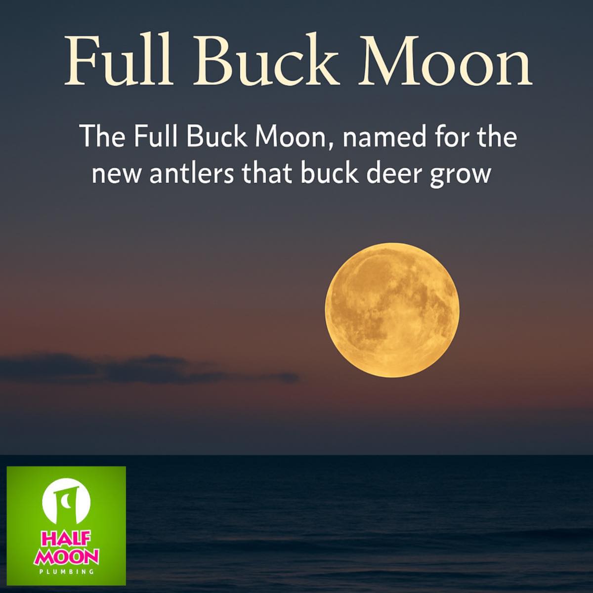 Chief - The full buck moon will be visible tonight and Thursday. The ...