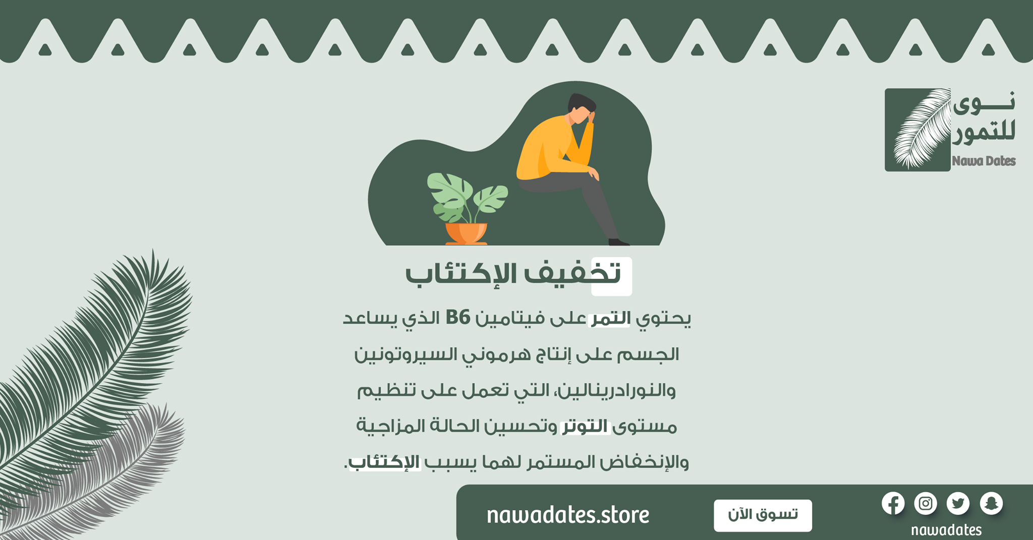 نوى للتمور - #التمر مفيد جداً للصحة و #الراحه_النفسيه...