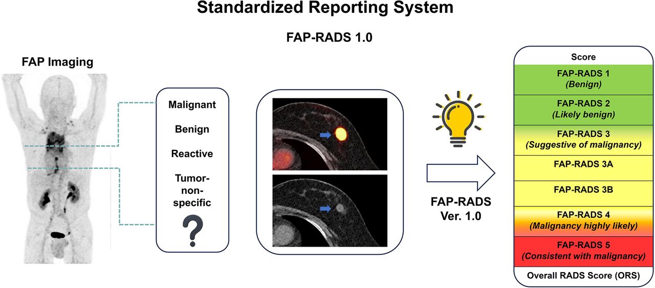 A new reporting... - The Journal of Nuclear Medicine - JNM | Facebook