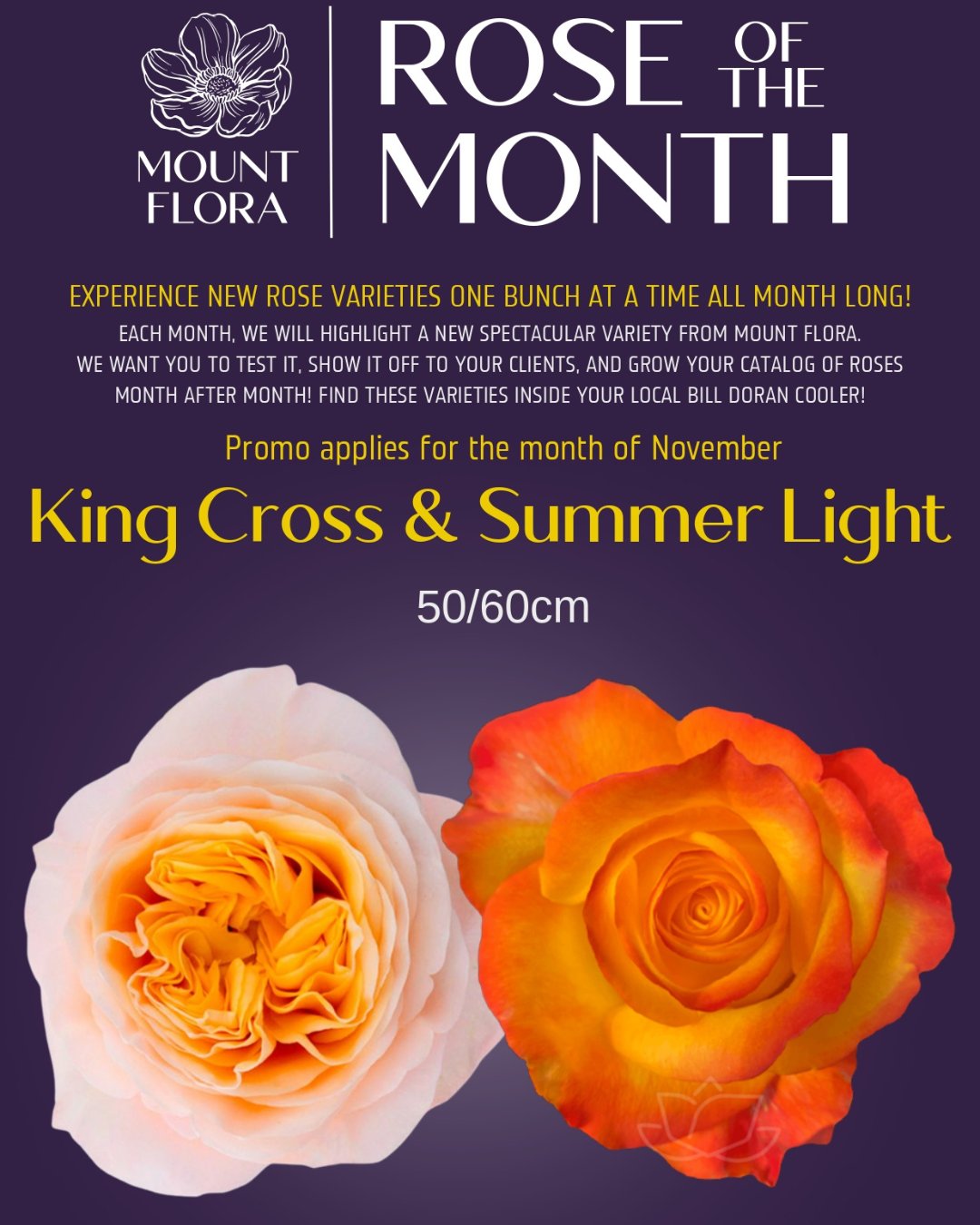 🌹 November Roses of the Month 🌹 This... - Bill Doran Company | Facebook