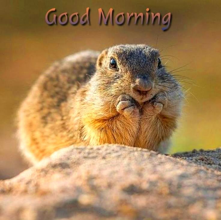 Whispers - Good morning beautiful souls of Facebook 🦋 Choose to have a ...