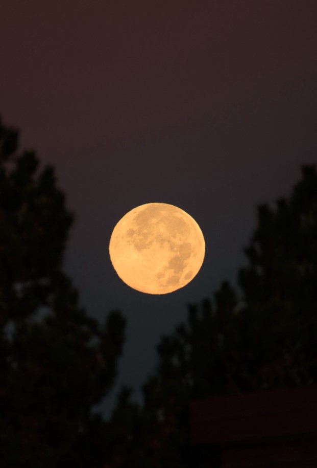 You guys catch the mega biggie size ultra jumbo moon last night