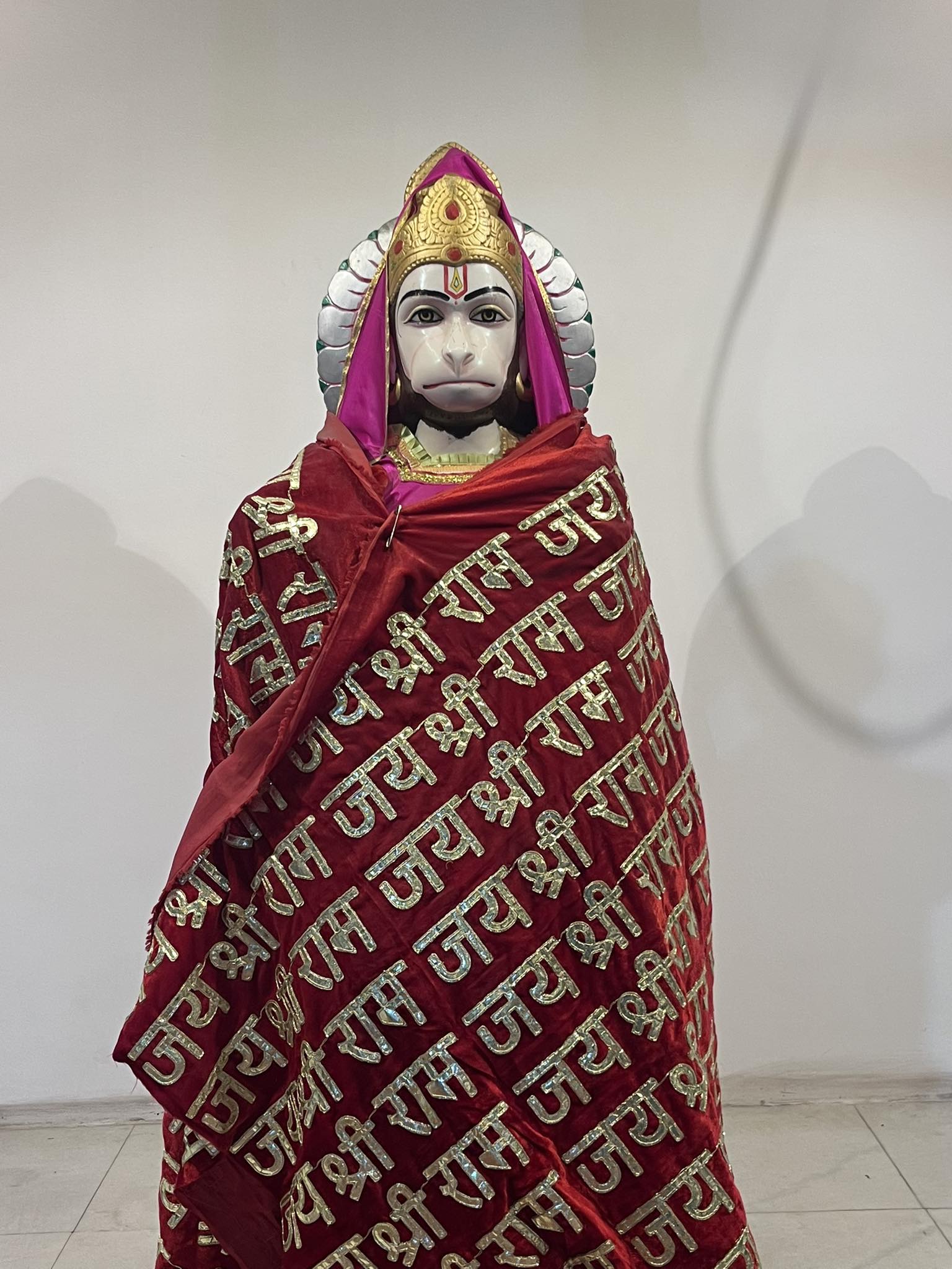 Ashu Menadi Art