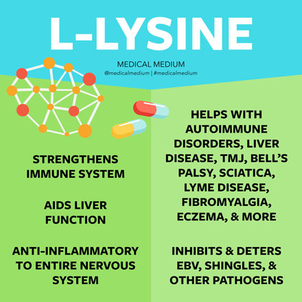 l-lysine and l-carnitine together benefits of taking supplements mobility Killer Klowns from Outer Größe:60 Kapseln