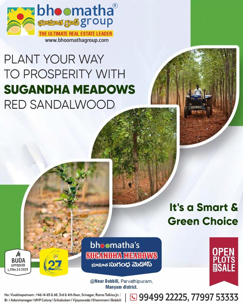 Bhoomatha Group - 🌱 Plant Your Way to Prosperity with... | Facebook