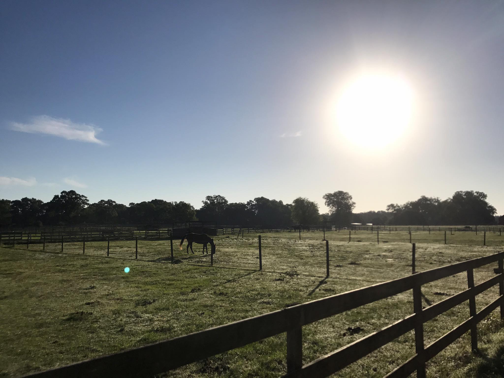 Cherokee Ridge Horse Farm | Carencro LA