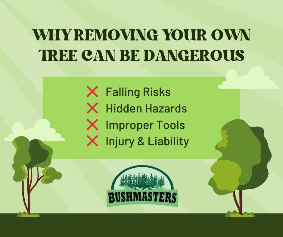 Bushmasters - ⚠️🌳 Why DIY Tree Removal Can Be Dangerous 🌳⚠️ Thinking ...