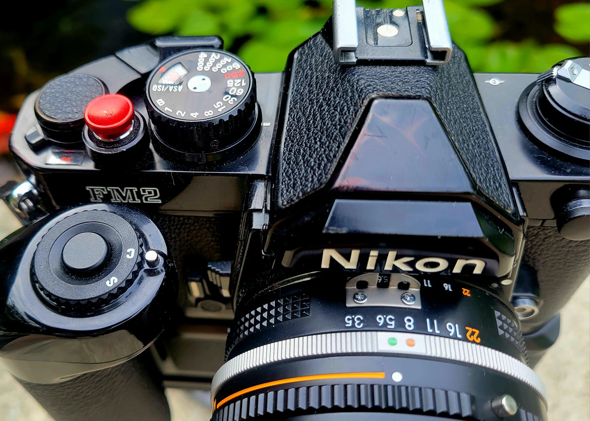 Nikon FM2/T*** with ***Nikkor 45mm f2.8 P***