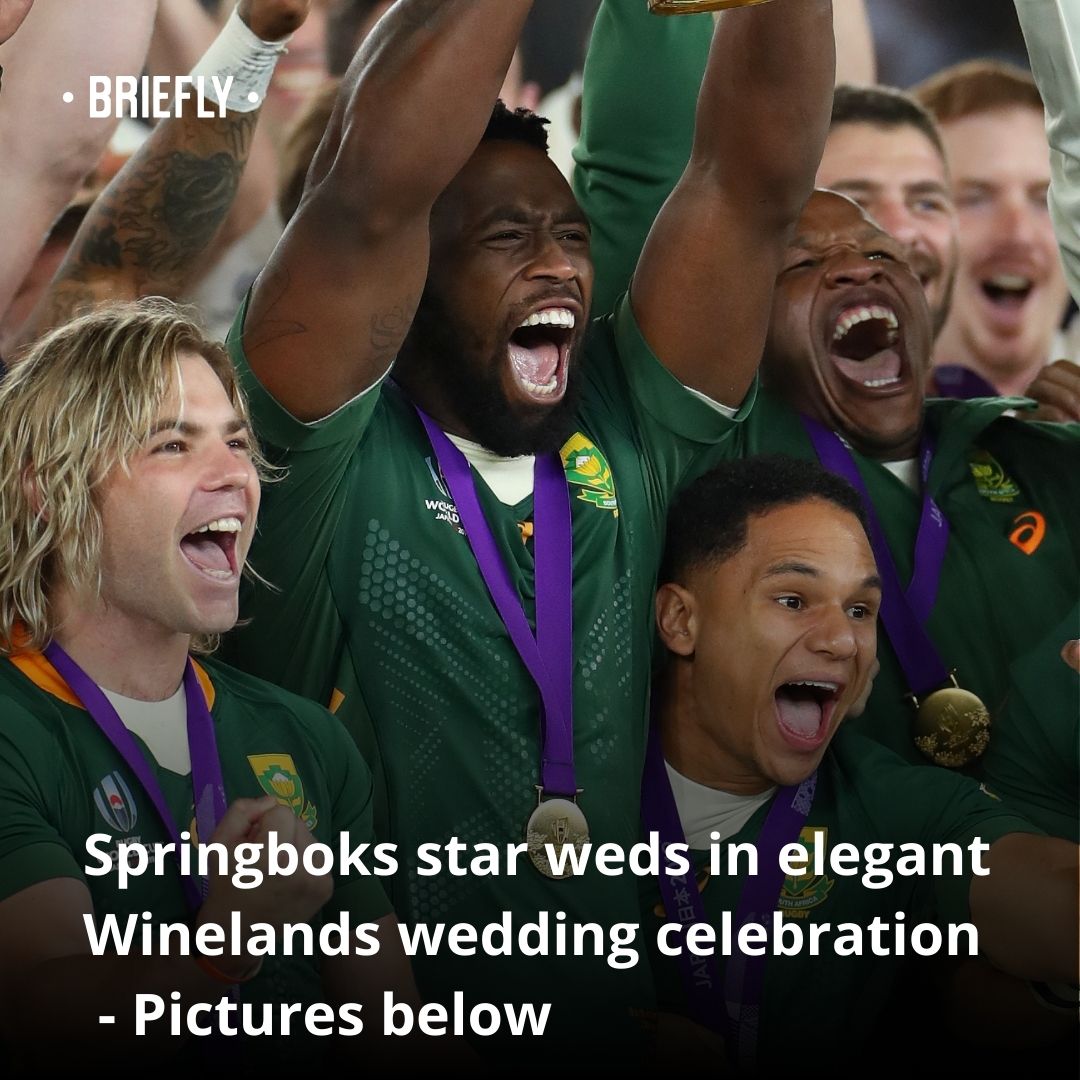 Briefly - A Springboks star tied the knot during Valentine’s week, and ...