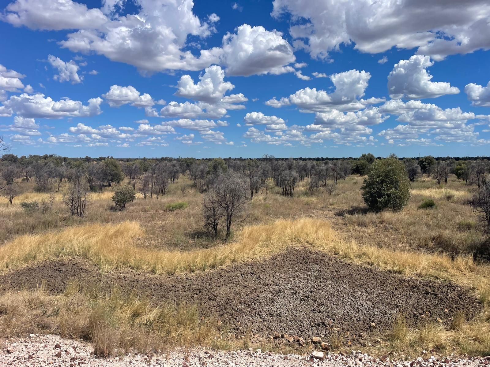Midwest Rural Traders Pty Ltd | Wallumbilla QLD