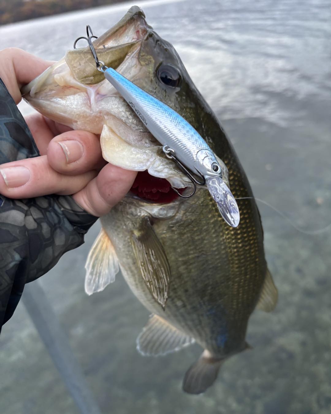 Lucky Craft USA - Scott Patton Fishing has found that the SCREW POINTER ...
