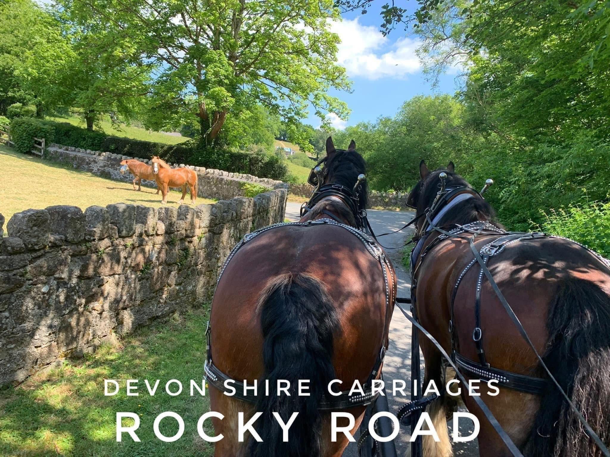 Devon Shire Carriages