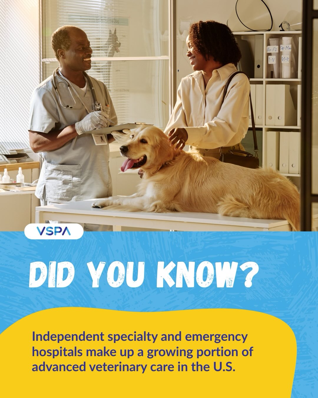 💡 Did you... - Veterinary Specialty Practice Alliance - VSPA | Facebook